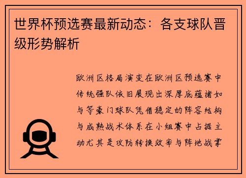 世界杯预选赛最新动态：各支球队晋级形势解析